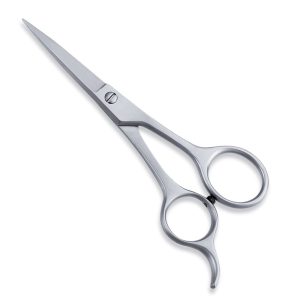 Economy Scissor