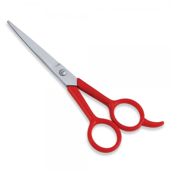 Economy Scissor